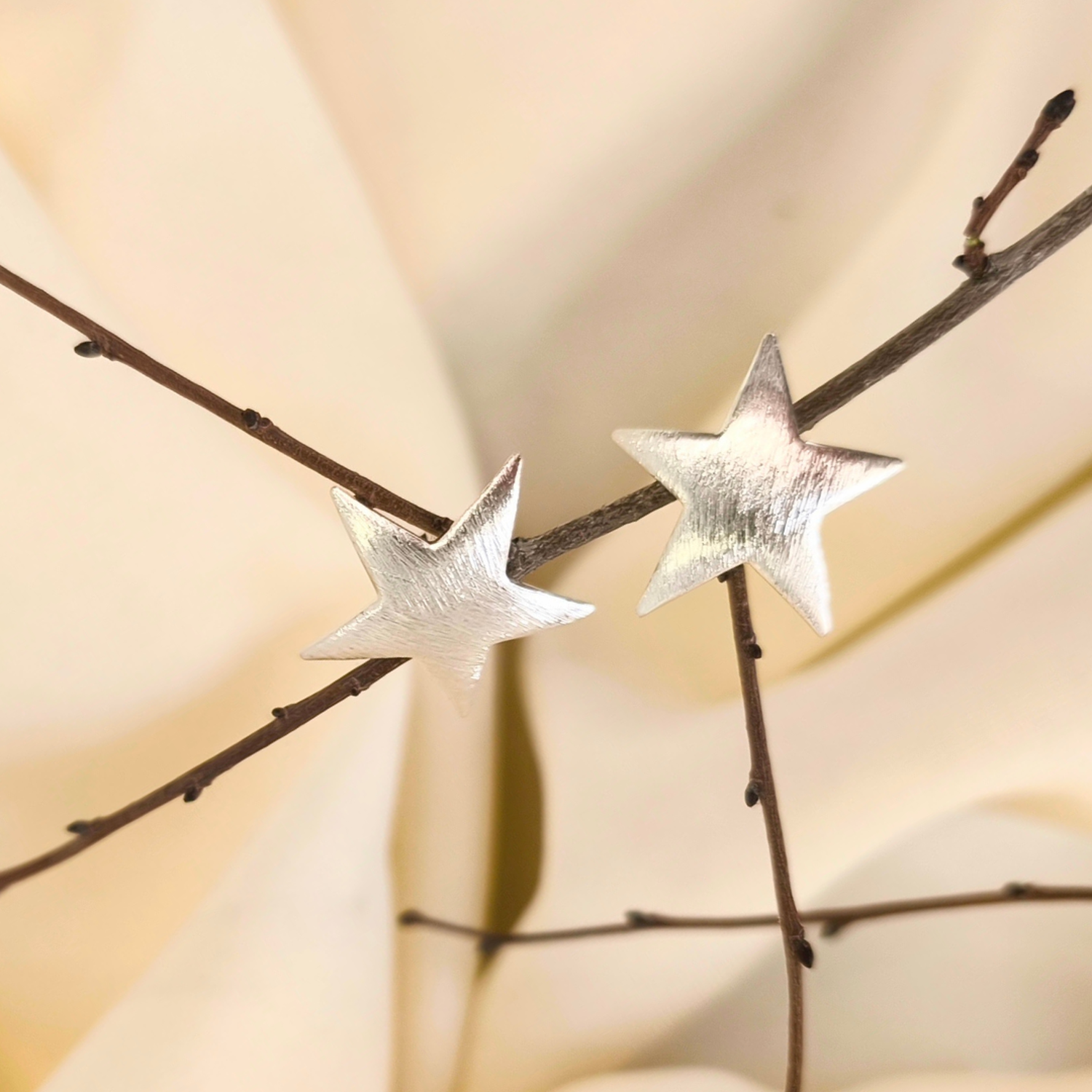 Aros Guadalupe estrella de plata-0