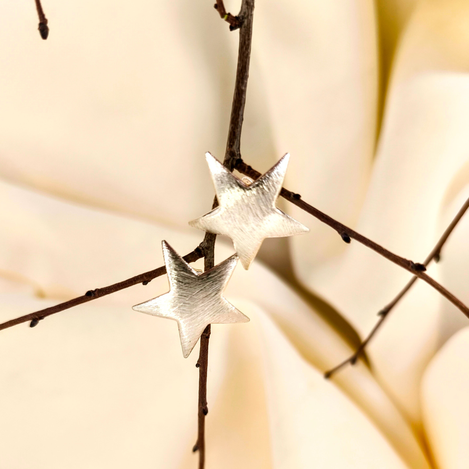 Aros Guadalupe estrella de plata-2