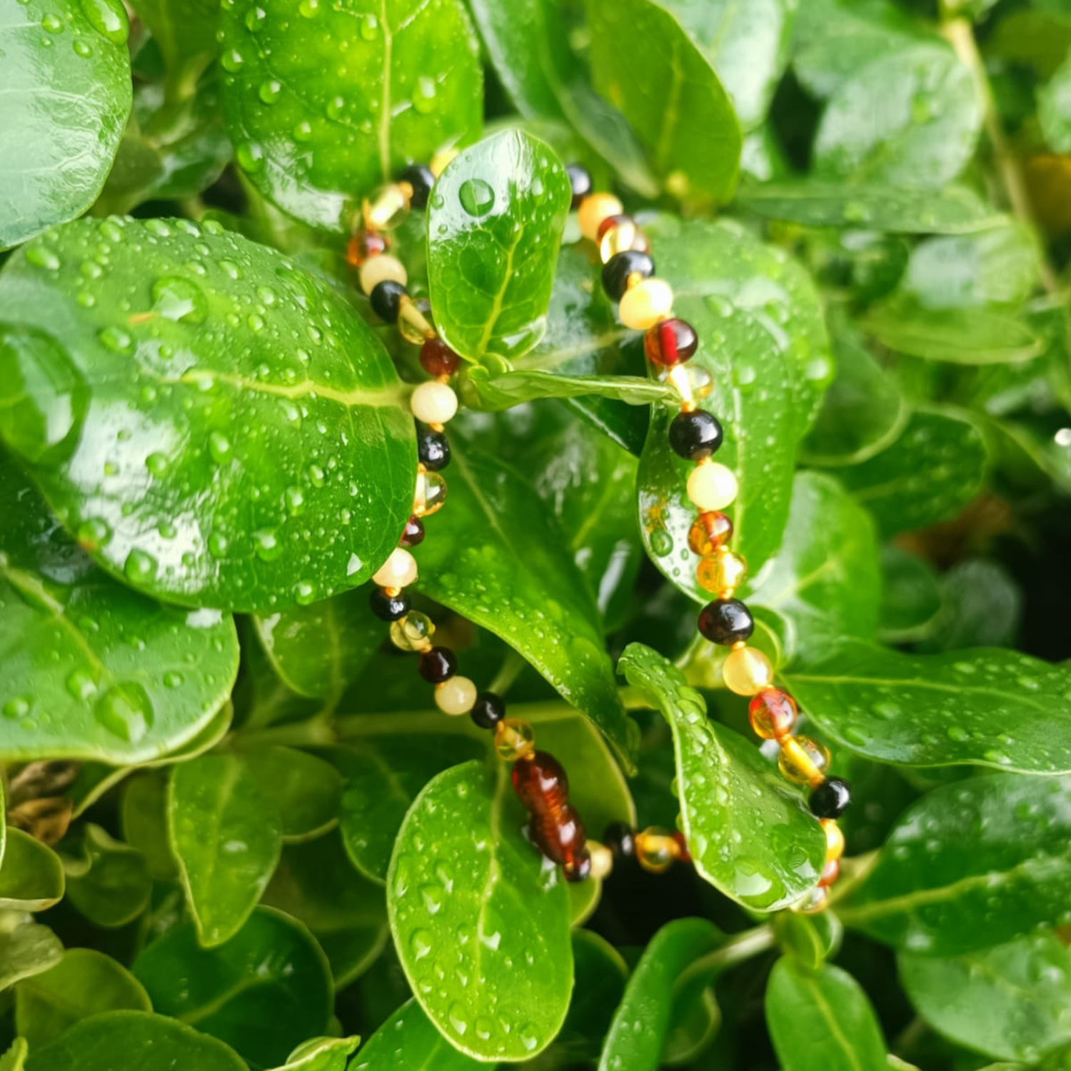 Collar ámbar báltico natural 36 cm-4