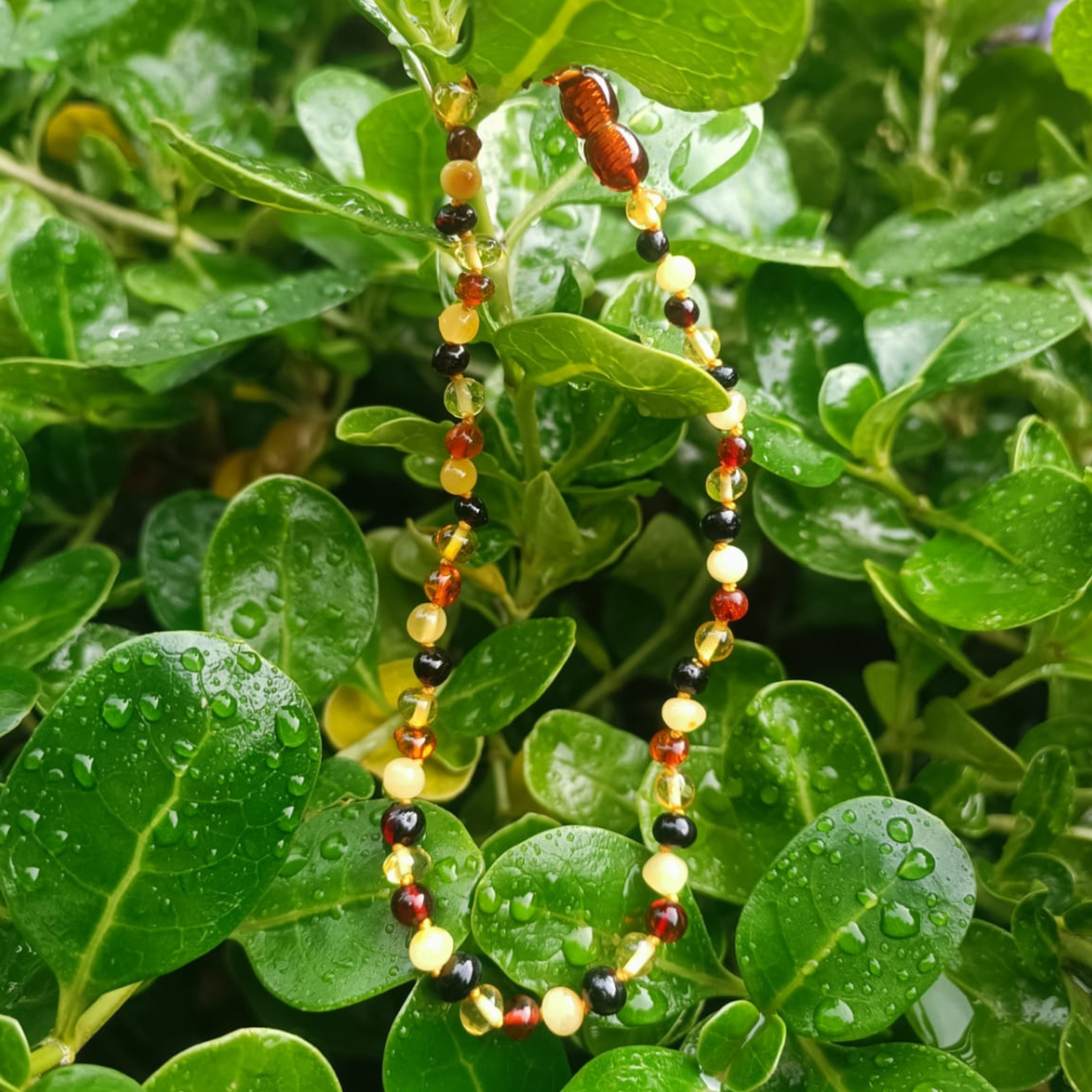 Collar ámbar báltico natural 36 cm-3