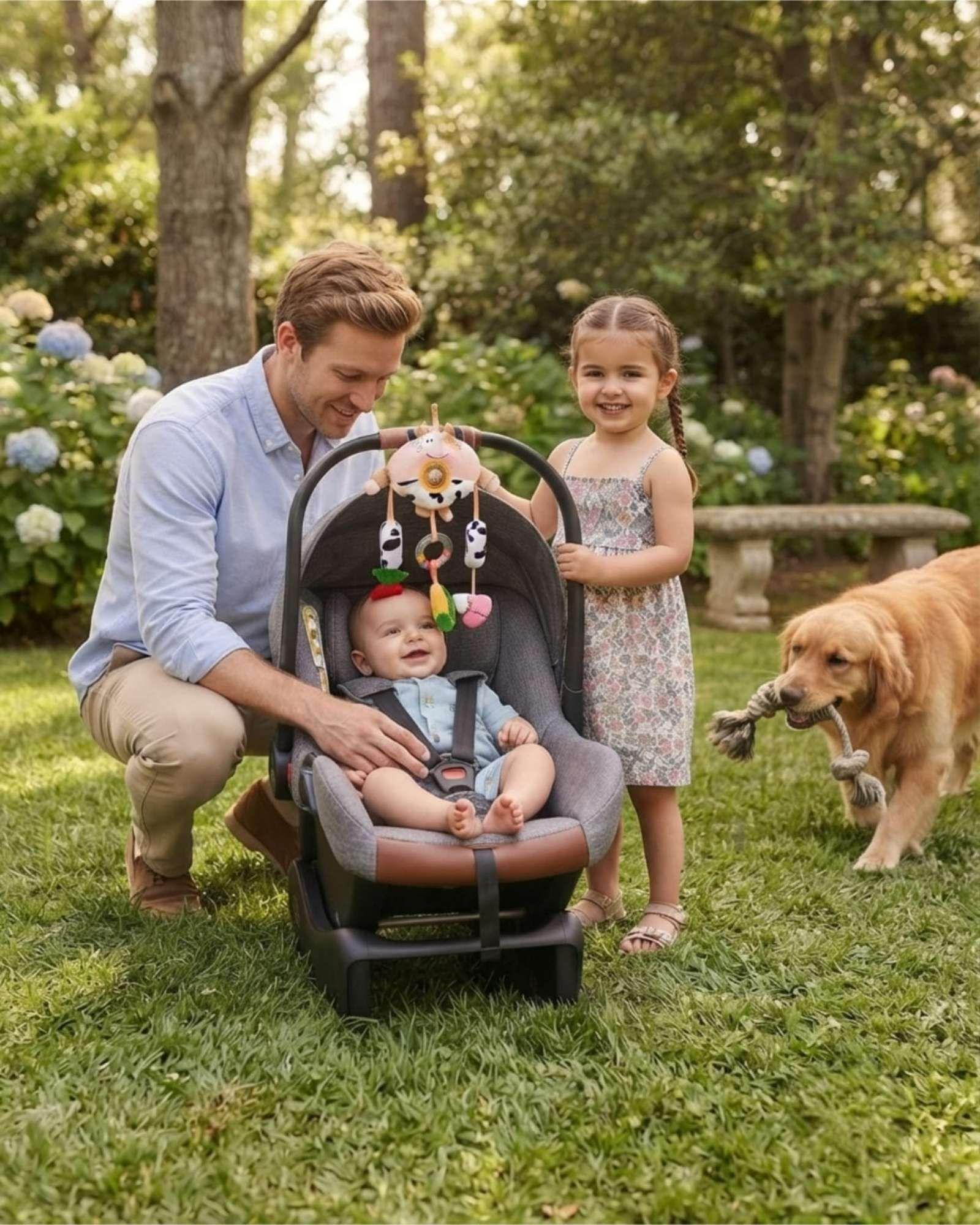 Juguete Colgante Estimulación Para Coche y Cuna Bebés Sonajero 06-1