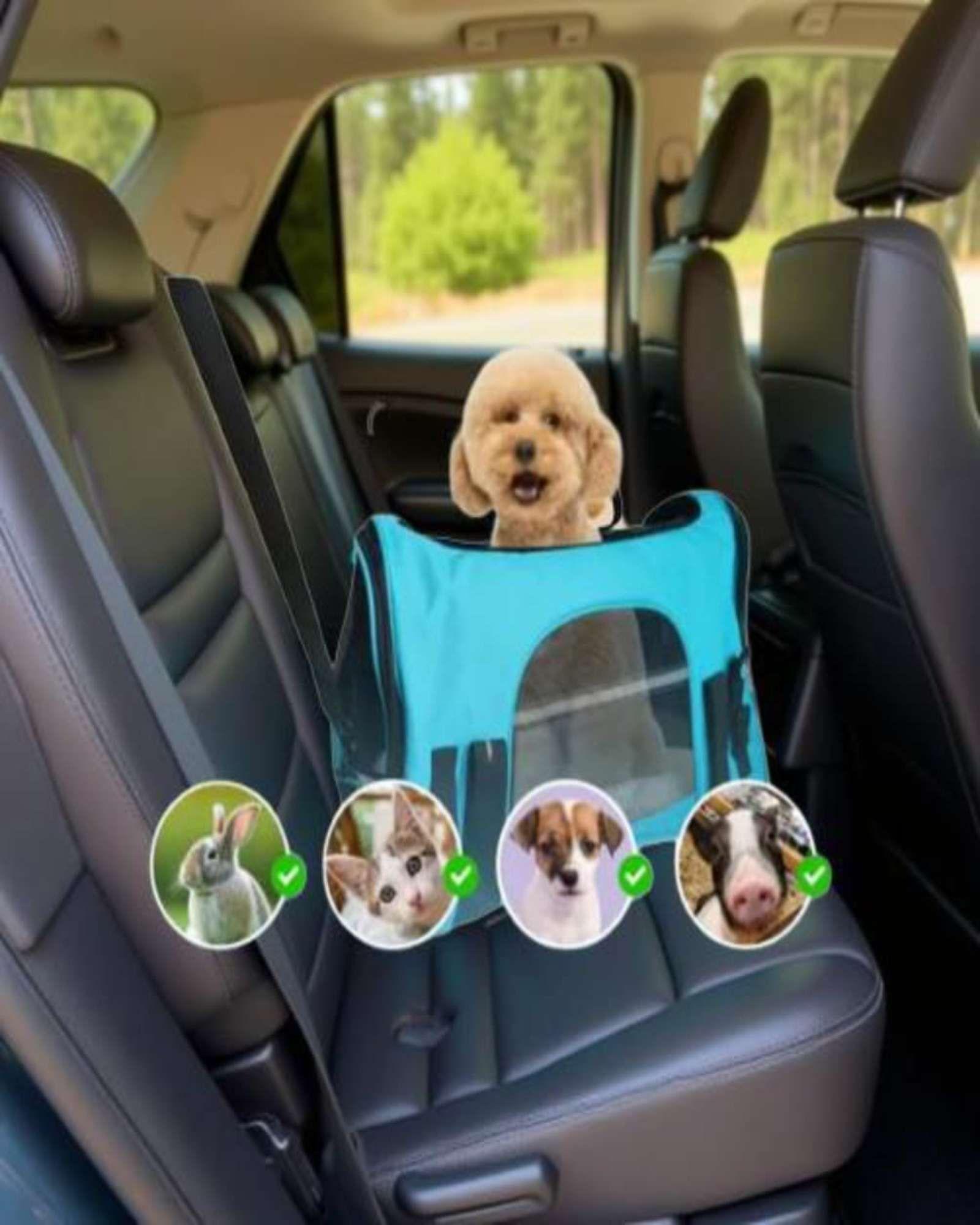 Bolso para Mascota transportador de Perro y Gato (Azul)-2