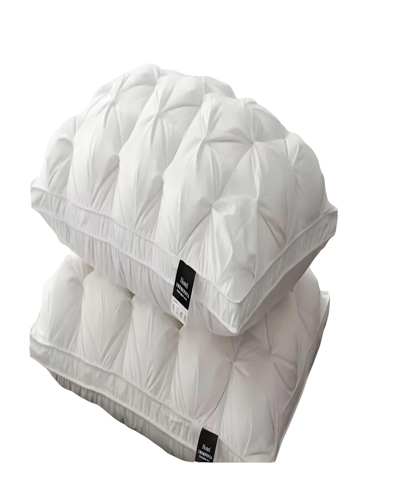 PACK DE 2 ALMOHADAS - BLANCO PREMIUN  DOBLE PILLOW 50X70-1