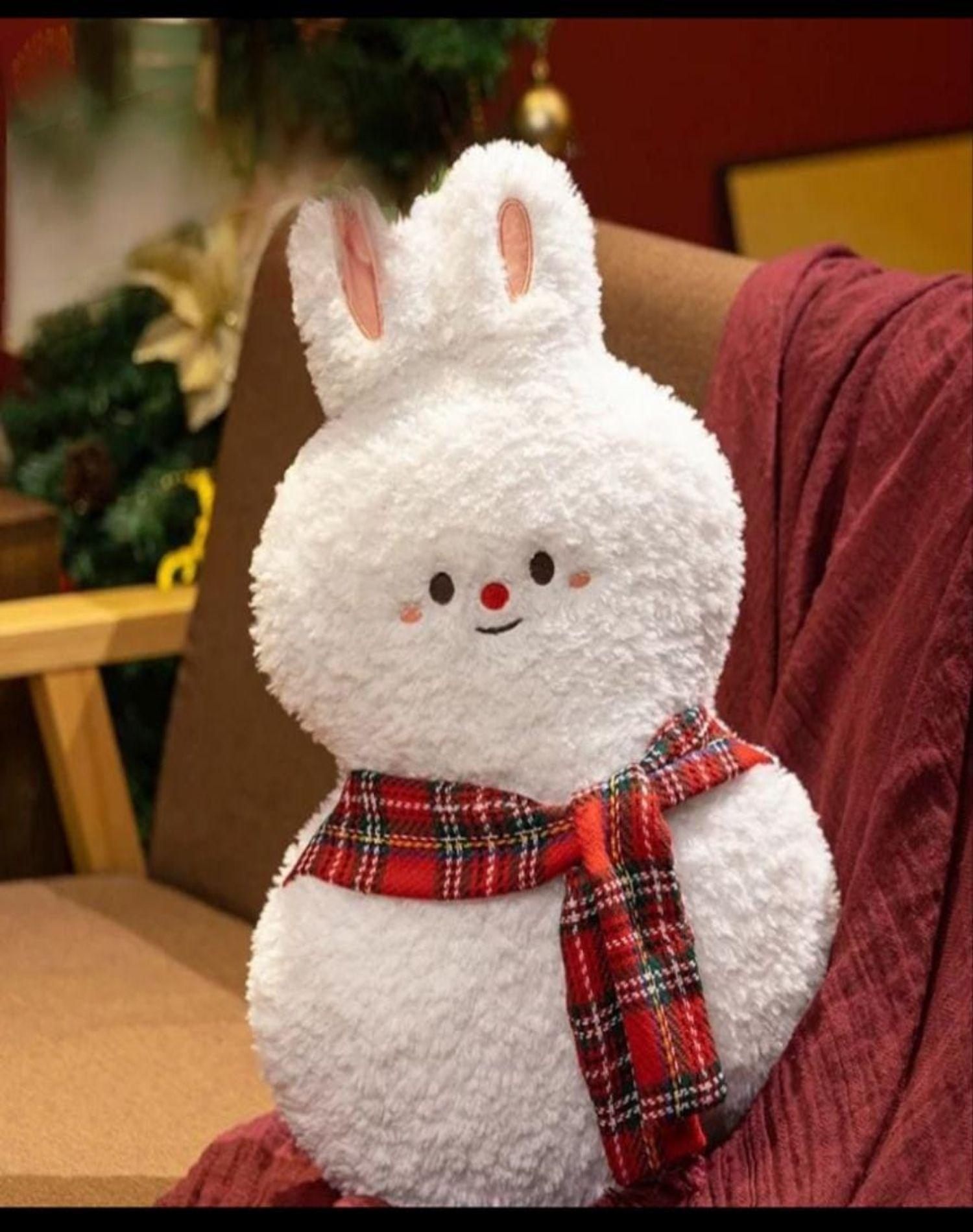 Set de 2 Cojines de Navidad 45cm 20n1-1