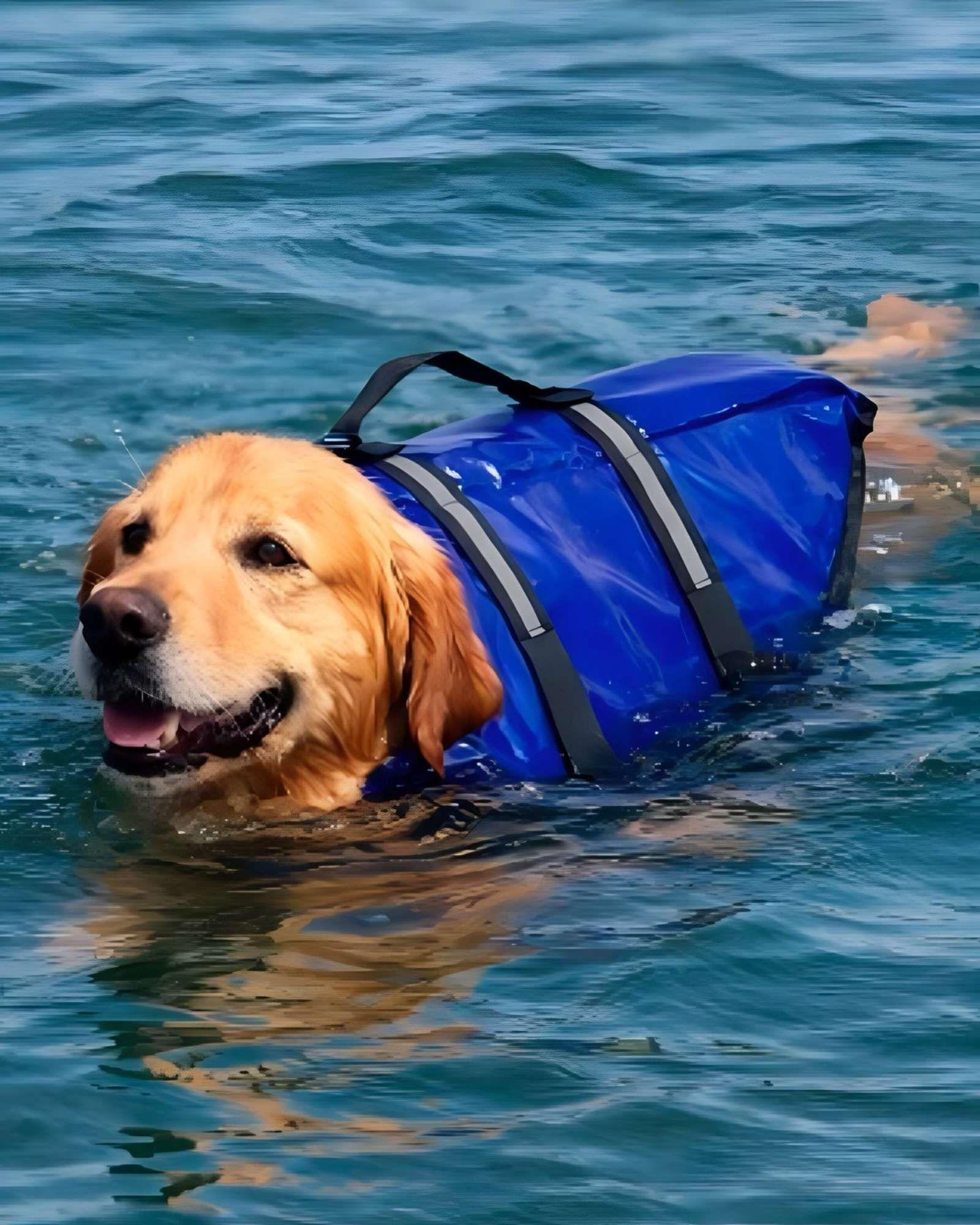 Chaleco Salvavidas Flotador Para Perros TALLA L 75x60 cm c03-2