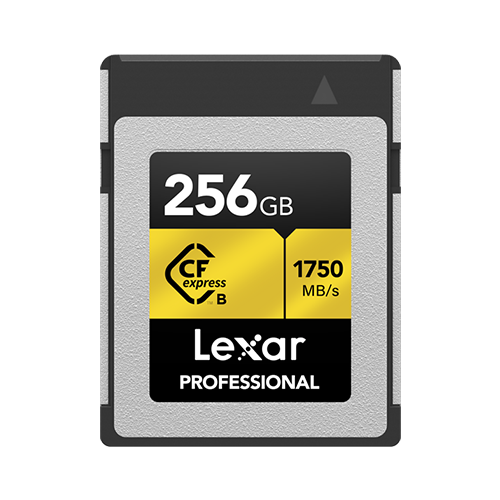 Mem Lexar C-F 256 GB 1750mb Type B Serie Gold -0