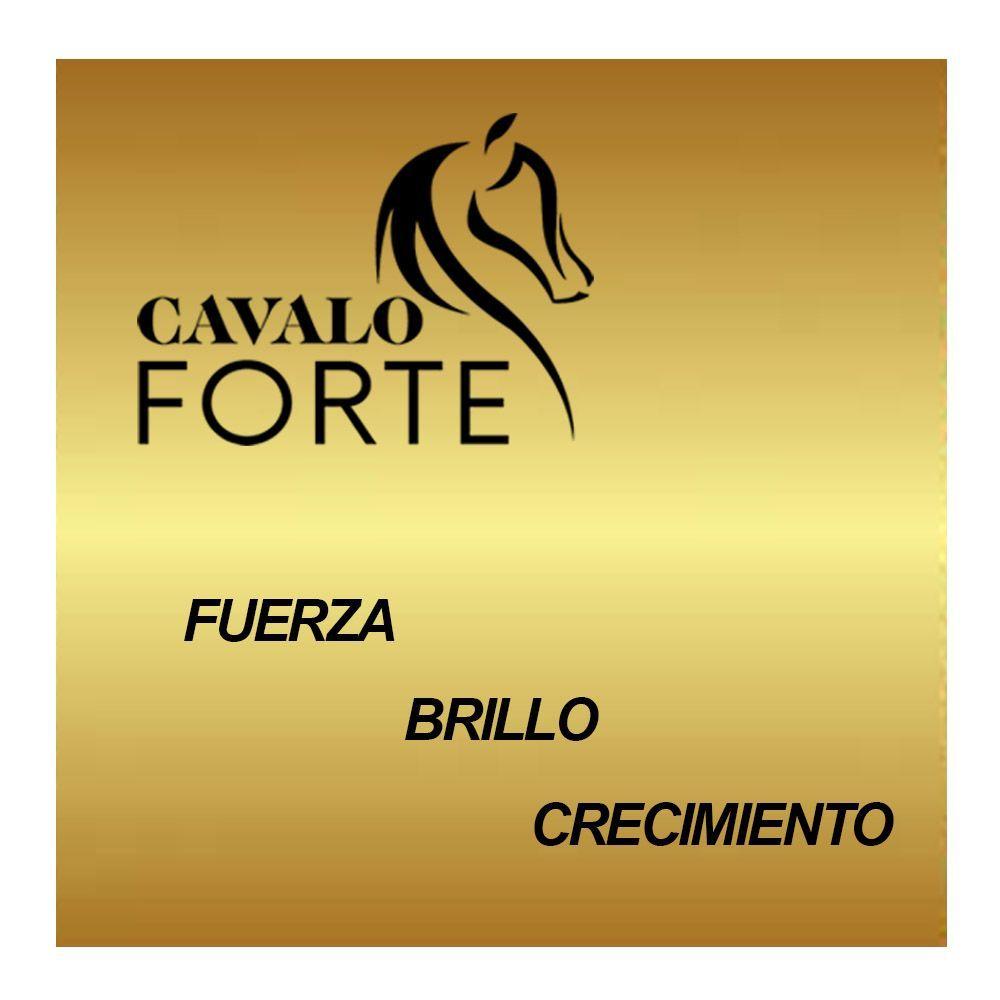 Shampoo acondicionador nutritivo fortalecedor capilar Haskell-3