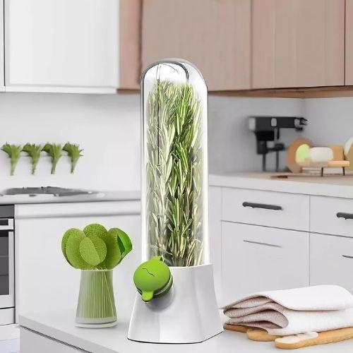 Envase Conservador de Hierbas Cilantro Perejil Refrigerador-3