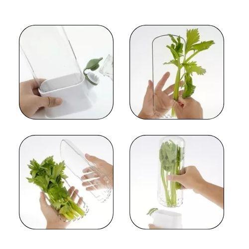 Envase Conservador de Hierbas Cilantro Perejil Refrigerador-4