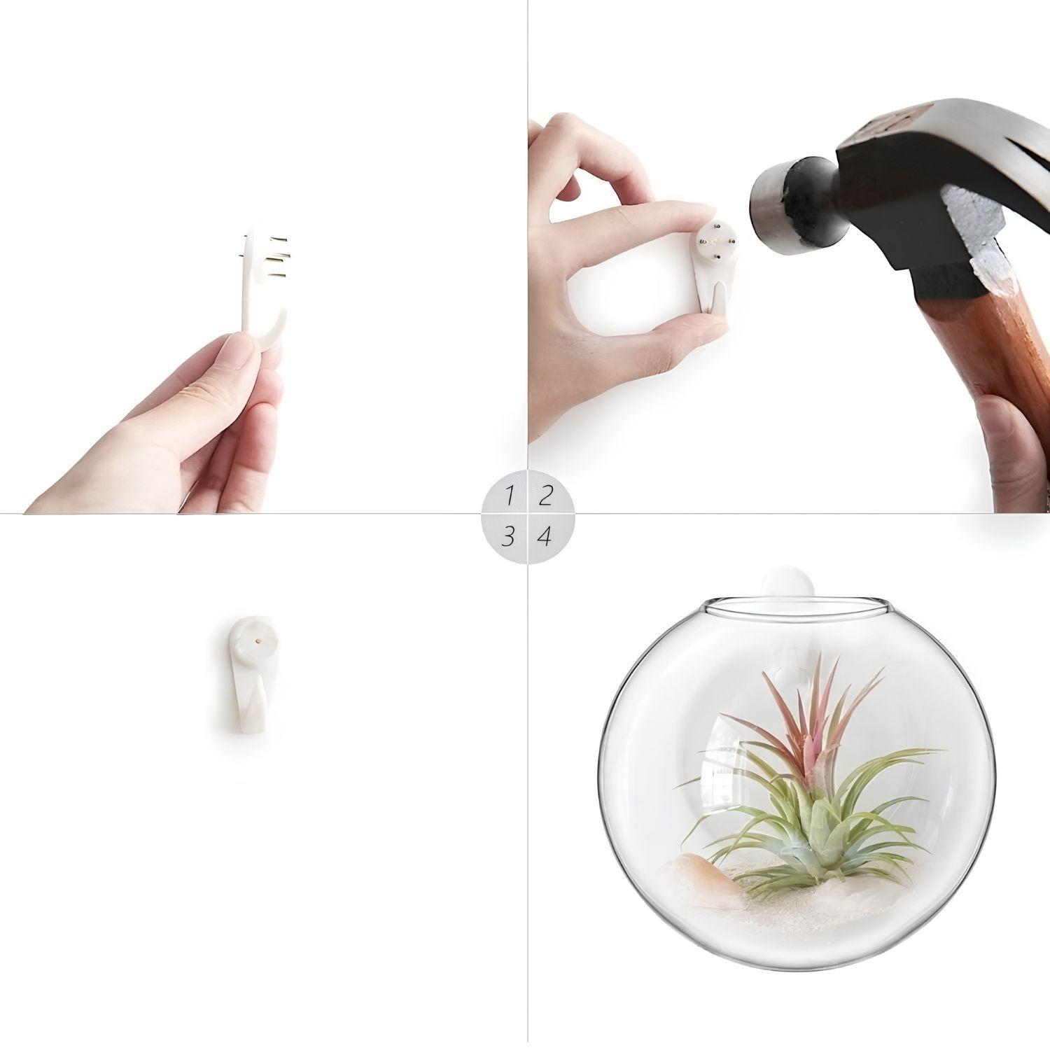 Pack 2 Macetas De Vidrio Colgante Transparente Pared 13cm-5