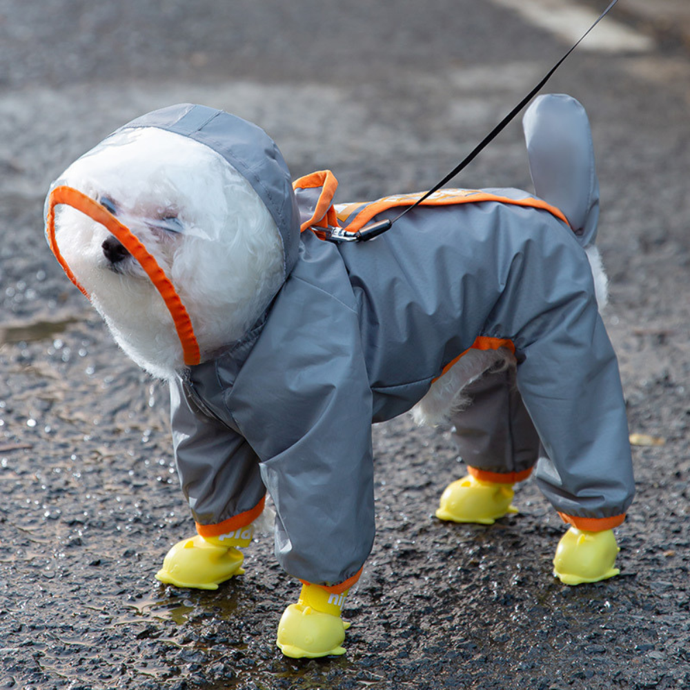 Impermeable Para Perro Chubasquero M-XXL-2