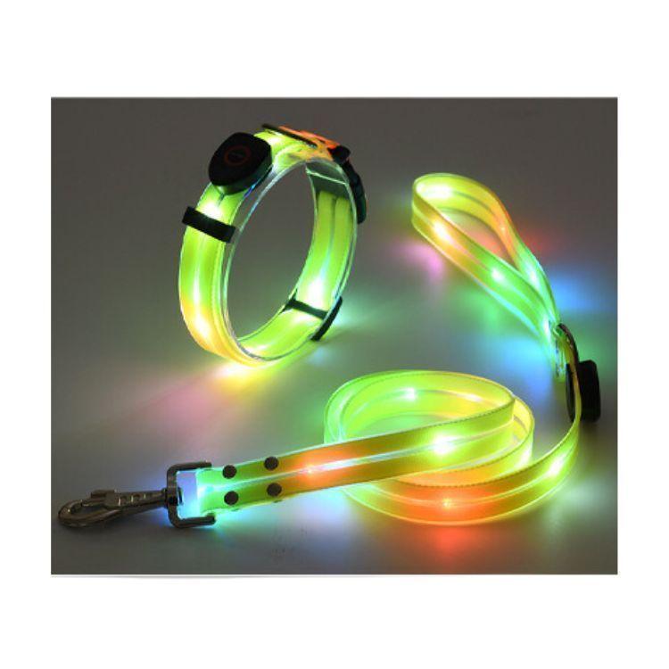 Correa + Collar Con Luces LED Impermeable-3