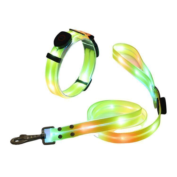 Correa + Collar Con Luces LED Impermeable-2