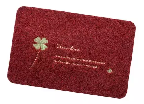 Alfombra Piso Limpiapiés 40 X 60 Cm-0