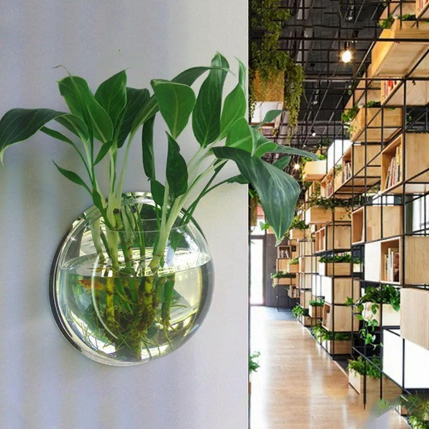 Jarrón de Pared Acrílico- Elegancia Moderna para Tus Plantas-3