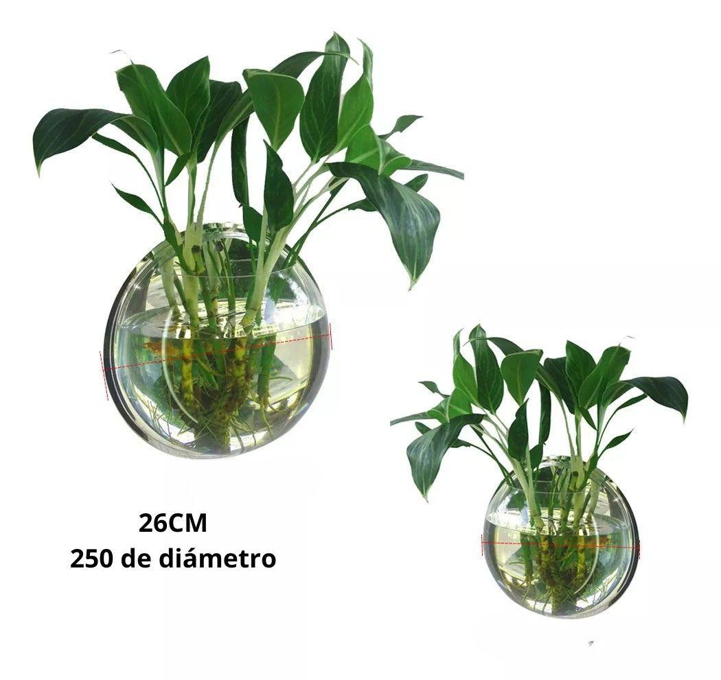 Jarrón de Pared Acrílico- Elegancia Moderna para Tus Plantas-4