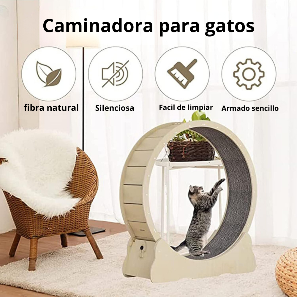 Rueda Caminadora Para Gatos Entrenamiento Gigante XL-1