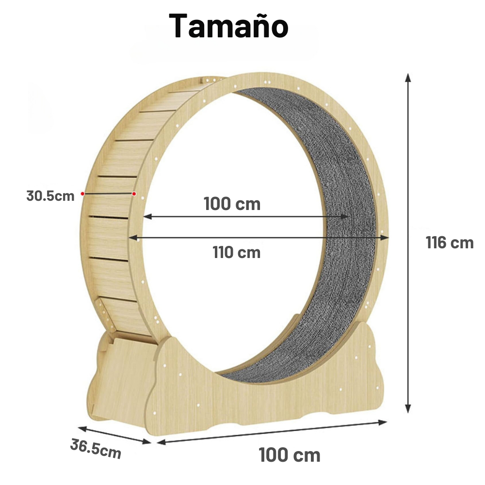 Rueda Caminadora Para Gatos Entrenamiento Gigante XL-3