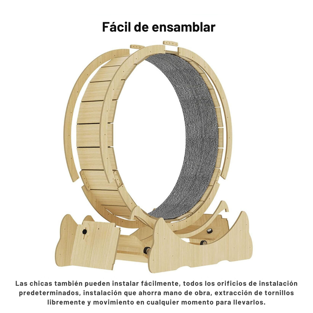 Rueda Caminadora Para Gatos Entrenamiento Gigante XL-4