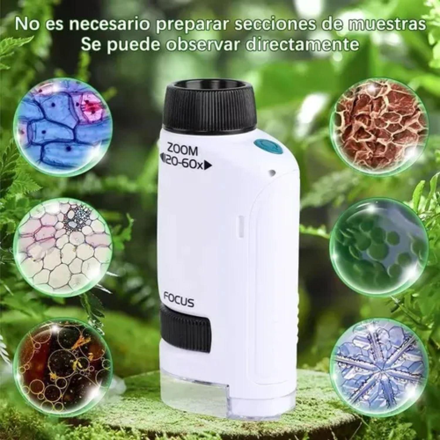 Microscopio Portátil Con Luz Para Niños Juguete Científico-1