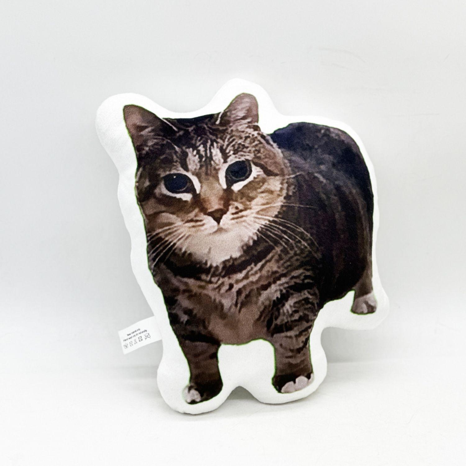 Almohada Con Gato Estampado Divertido Cómoda 26 cm-2