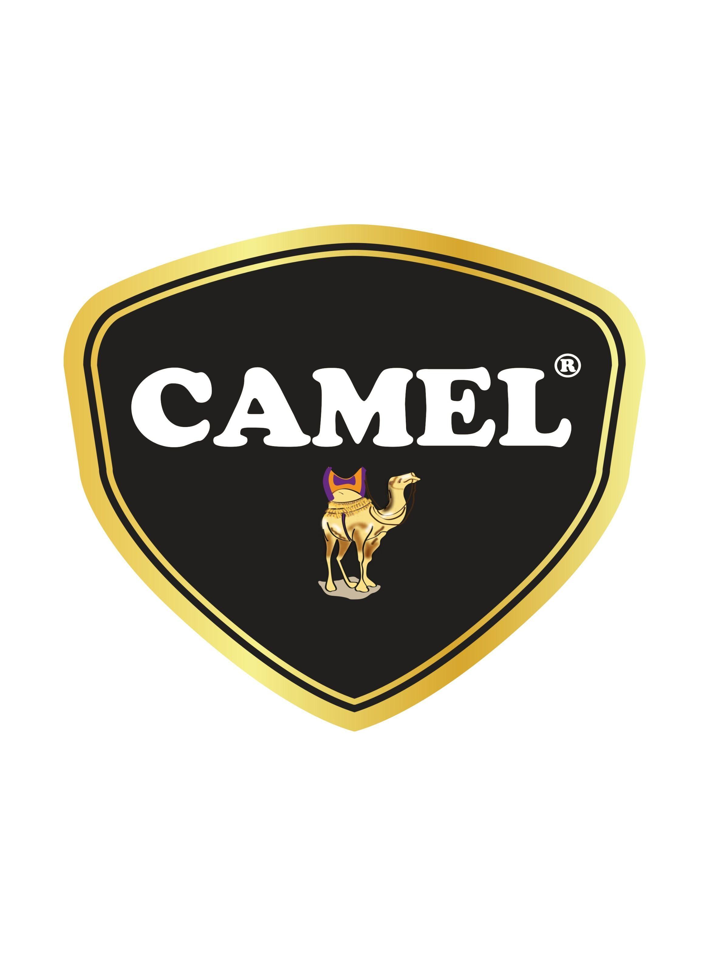 Pack x4 Café Camel Cappuccino Canela  115g (5x23g)-2