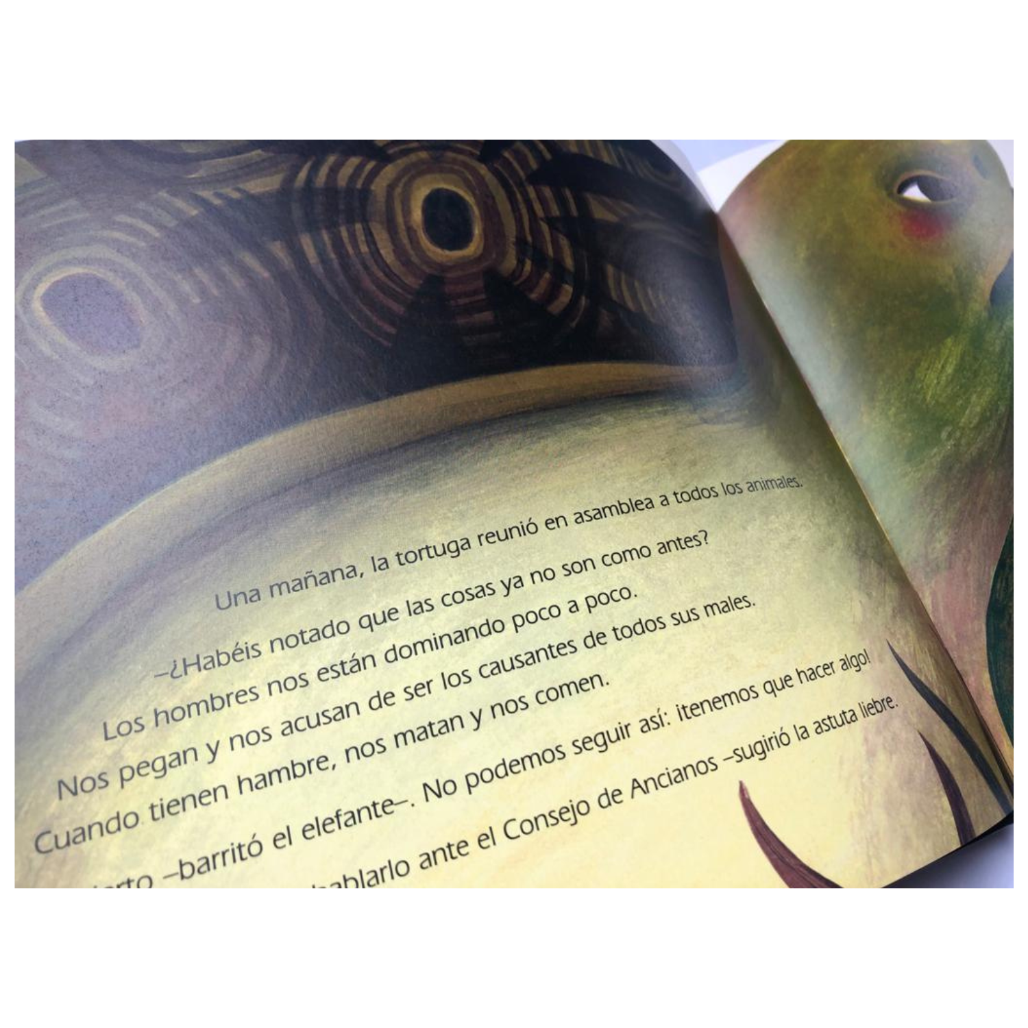 A paso de tortuga-3