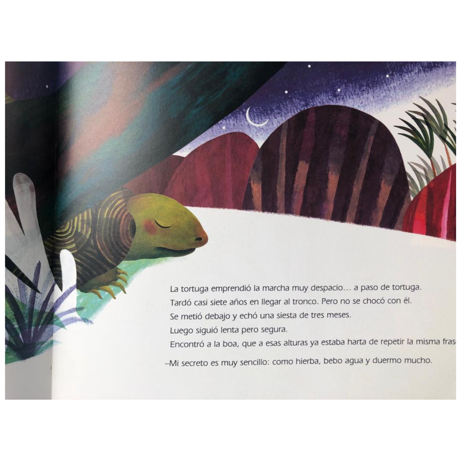 A paso de tortuga-7