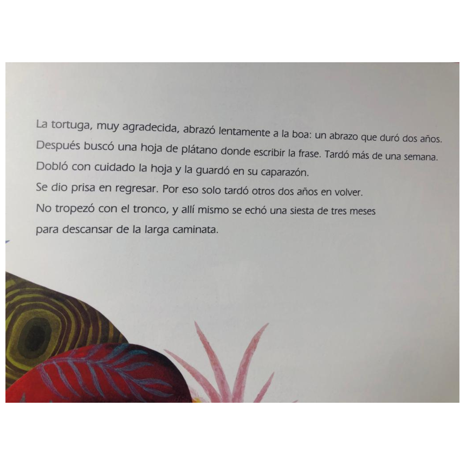 A paso de tortuga-8