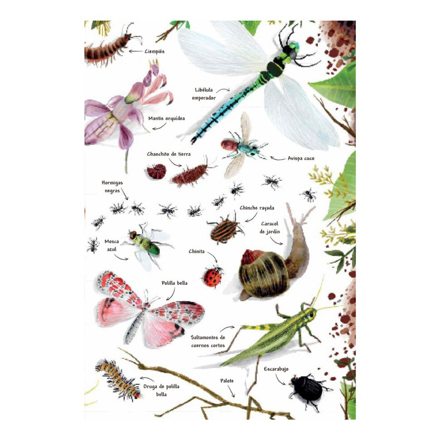 Mi primer libro de la Naturaleza-4