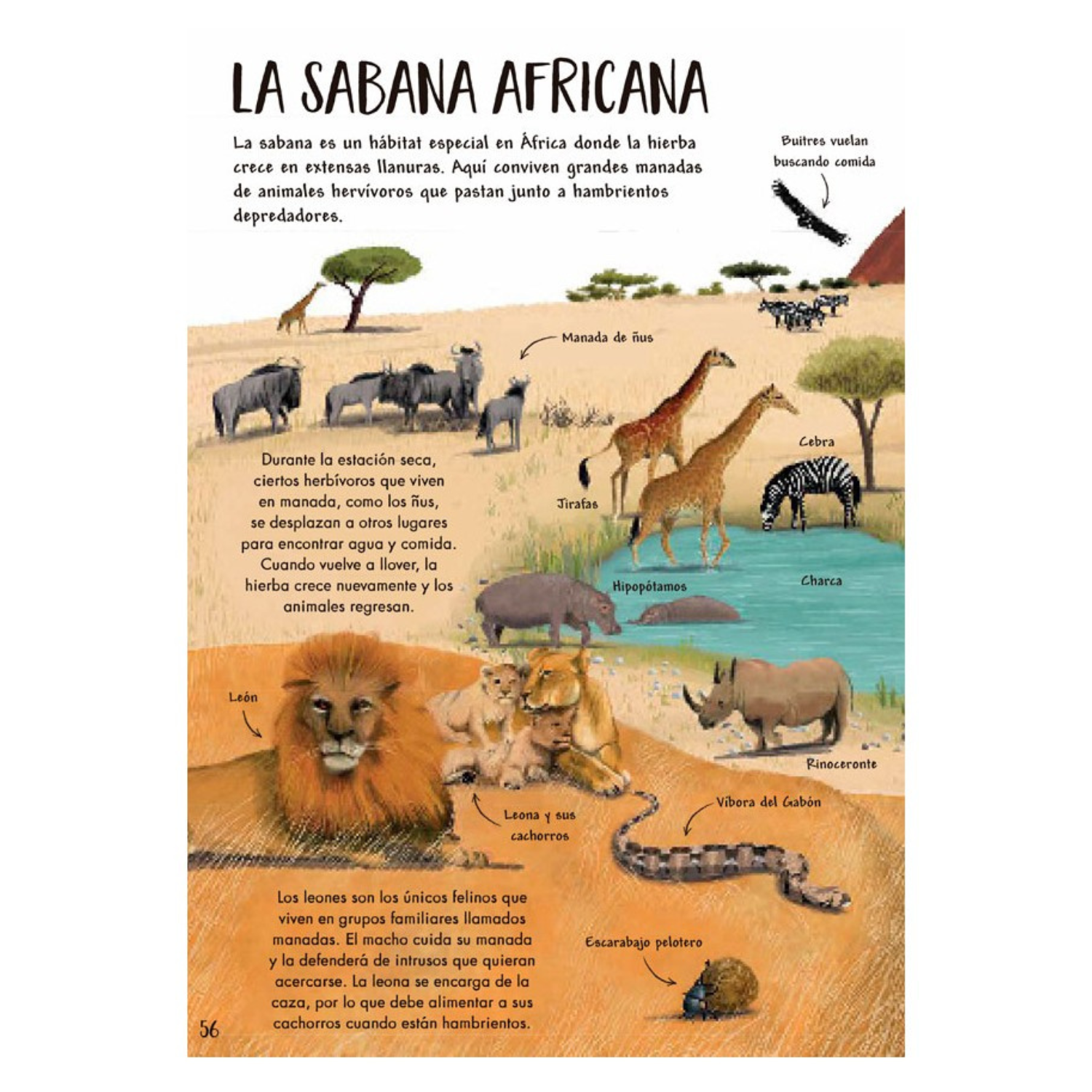 Mi primer libro de la Naturaleza-6
