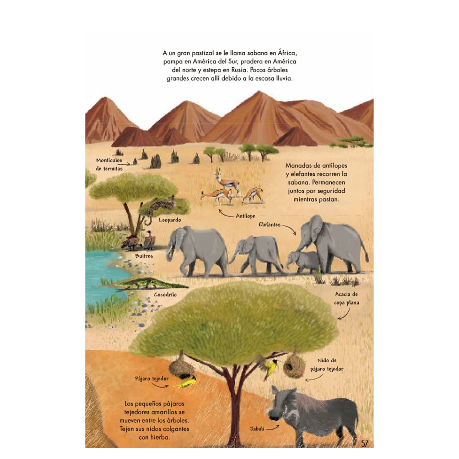 Mi primer libro de la Naturaleza-7