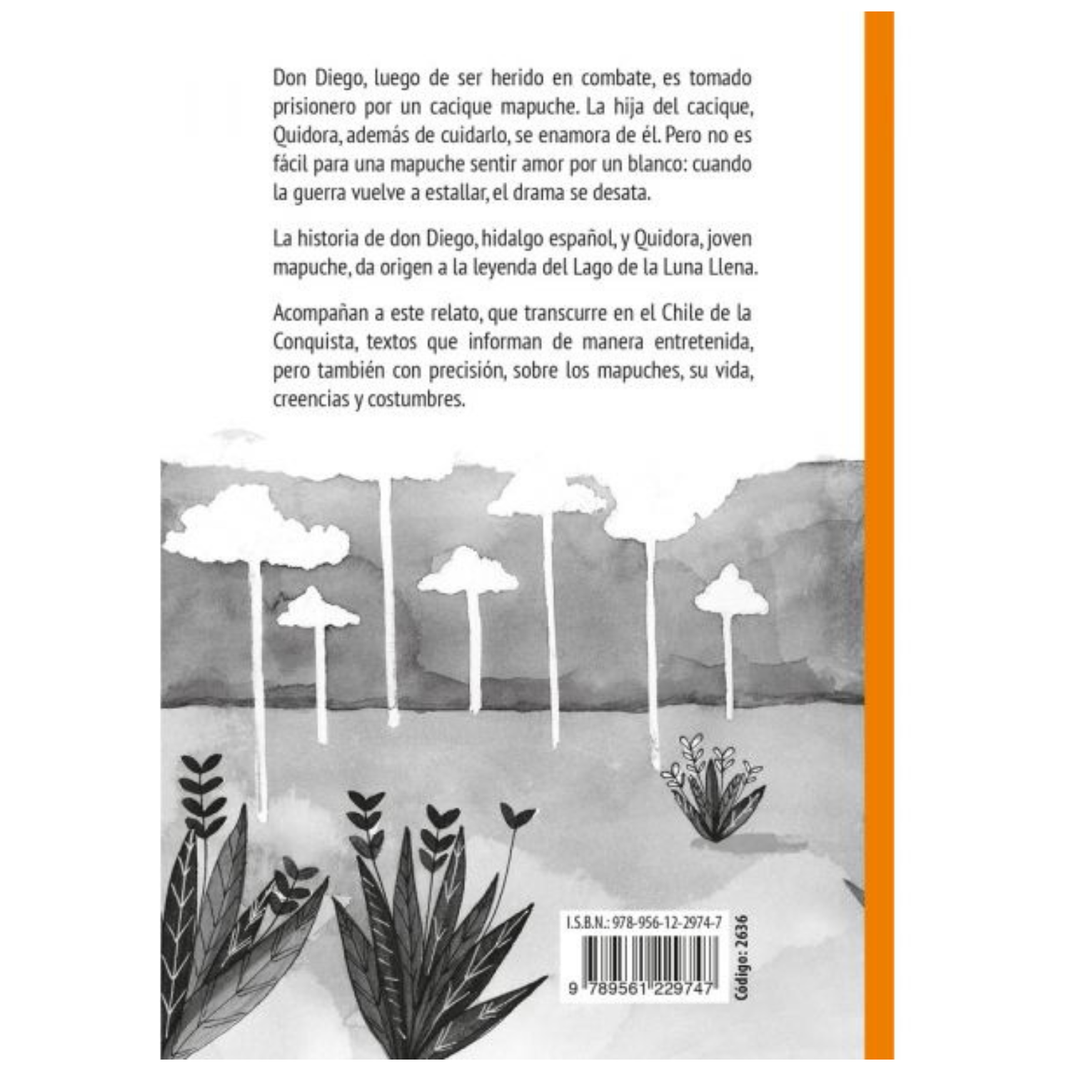 QUIDORA, JOVEN MAPUCHE-2