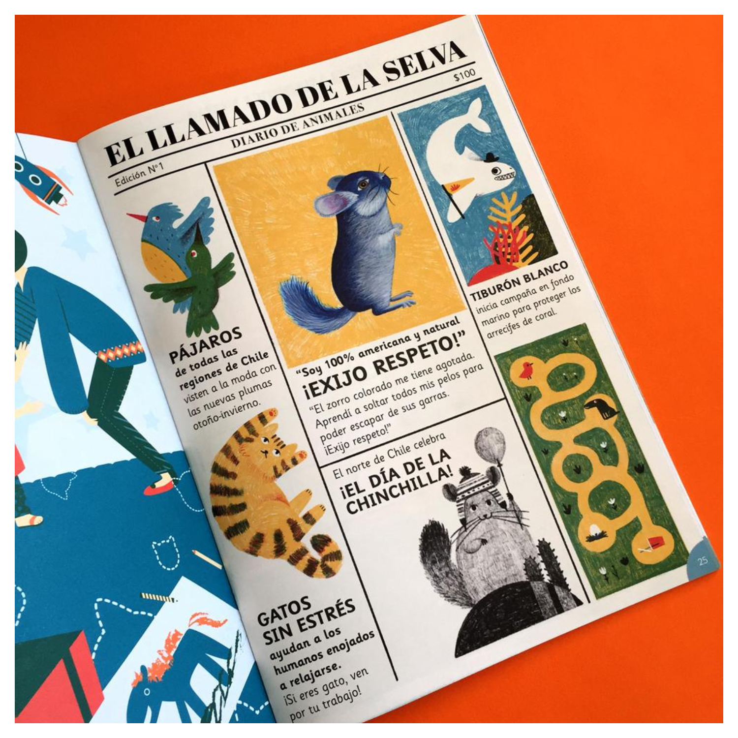 Revista Guarisapo N1-2