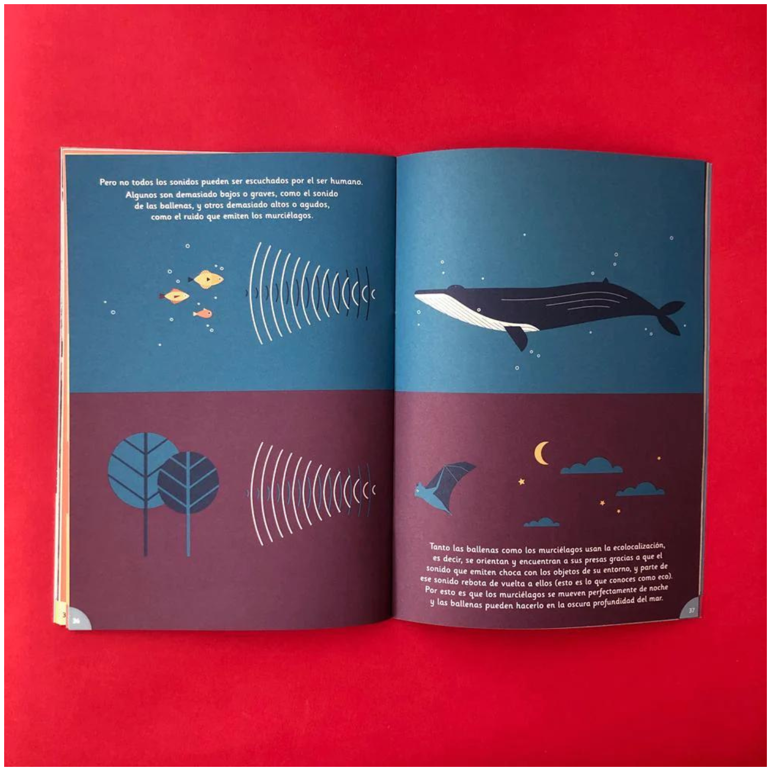 Revista Guarisapo N2-4