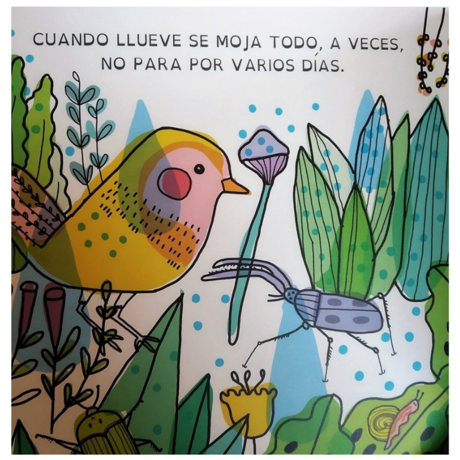 Días de lluvia-3