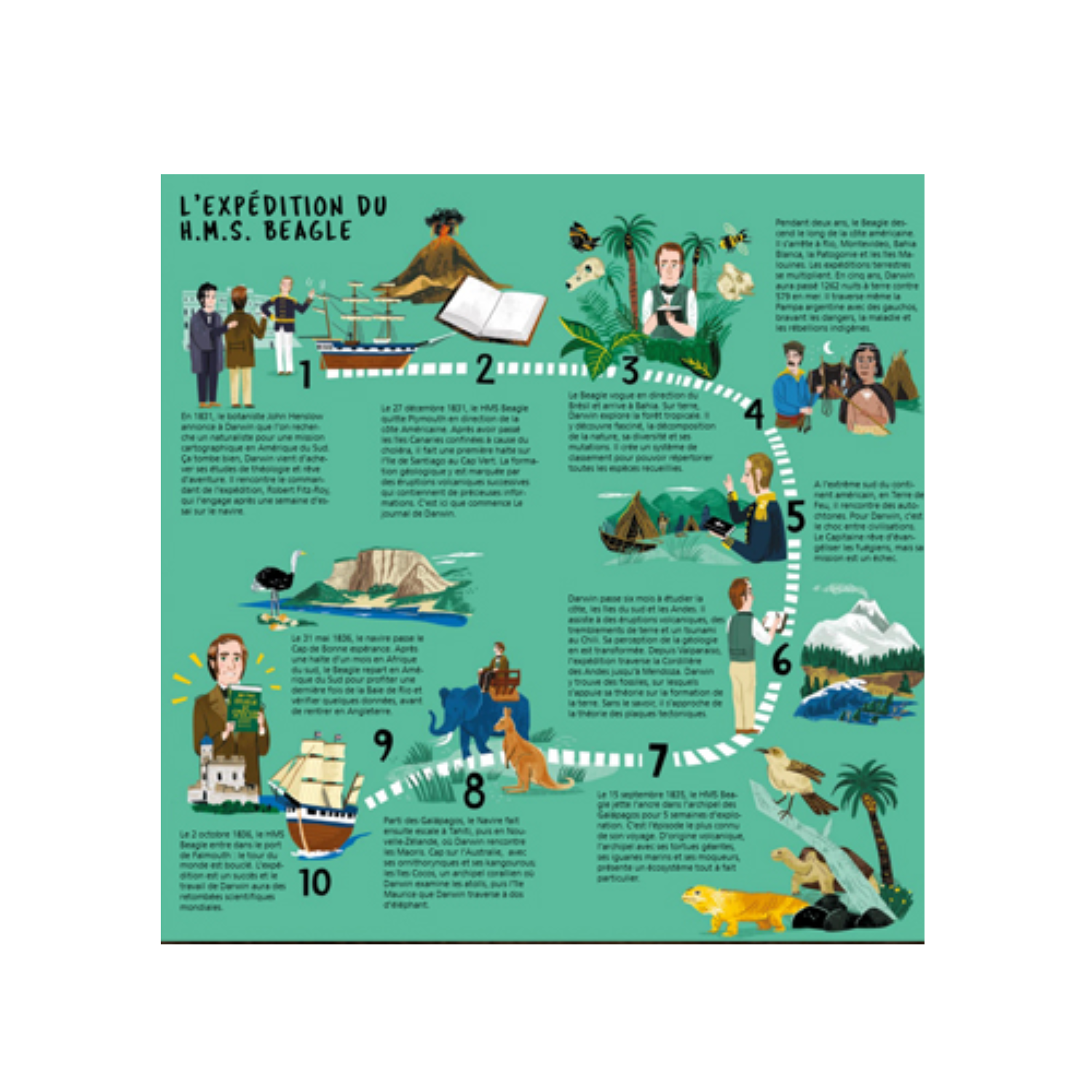 Darwin : El Viaje De Un Naturalista Alrededor Del Mundo-2