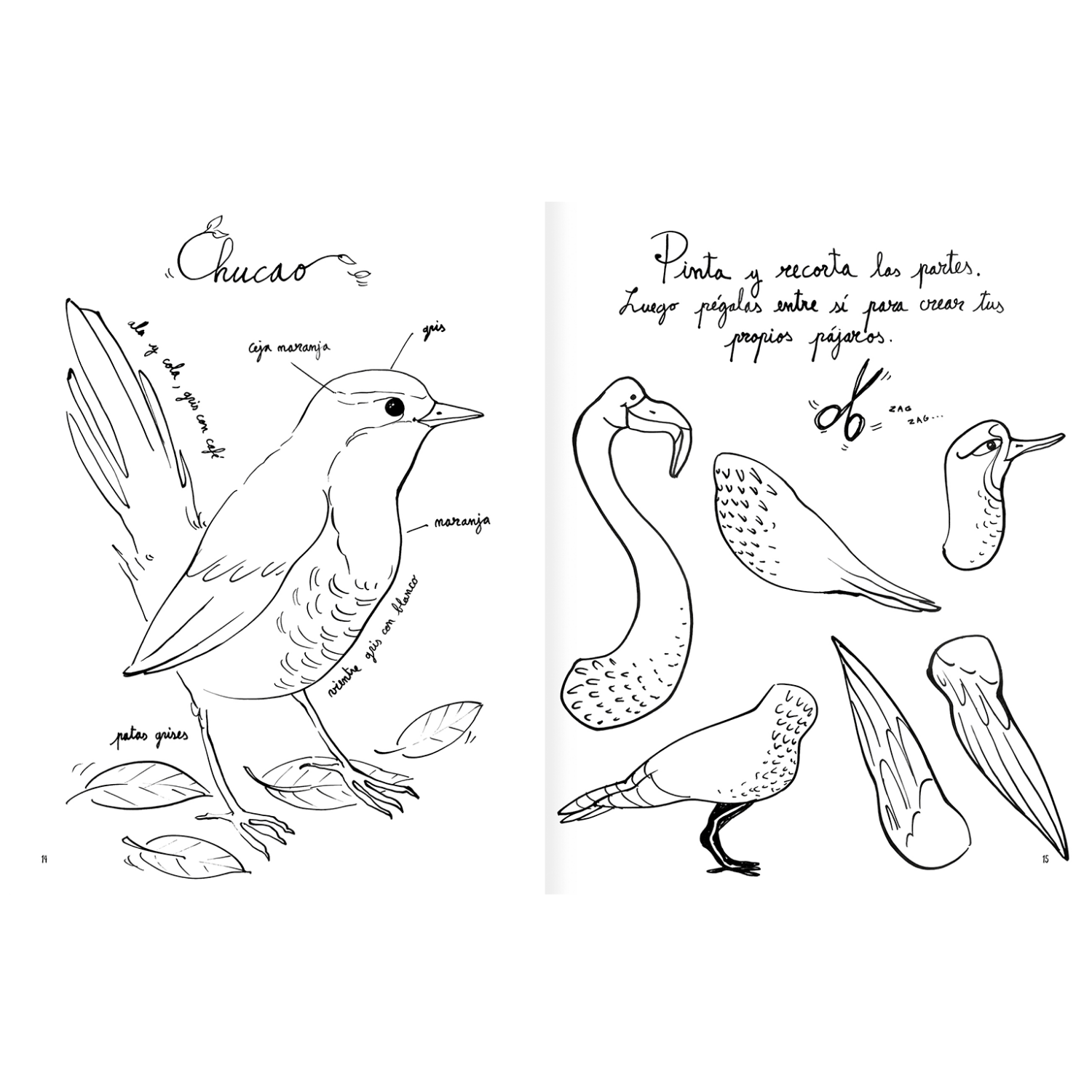 Pintapájaros-2
