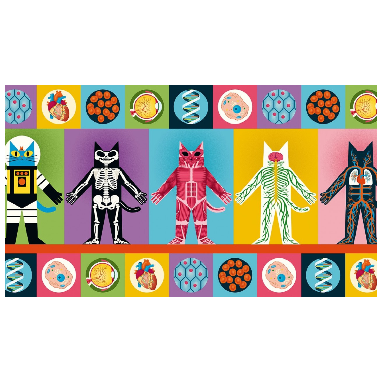 El profesor ASTRO CAT y la odisea del cuerpo humano-3