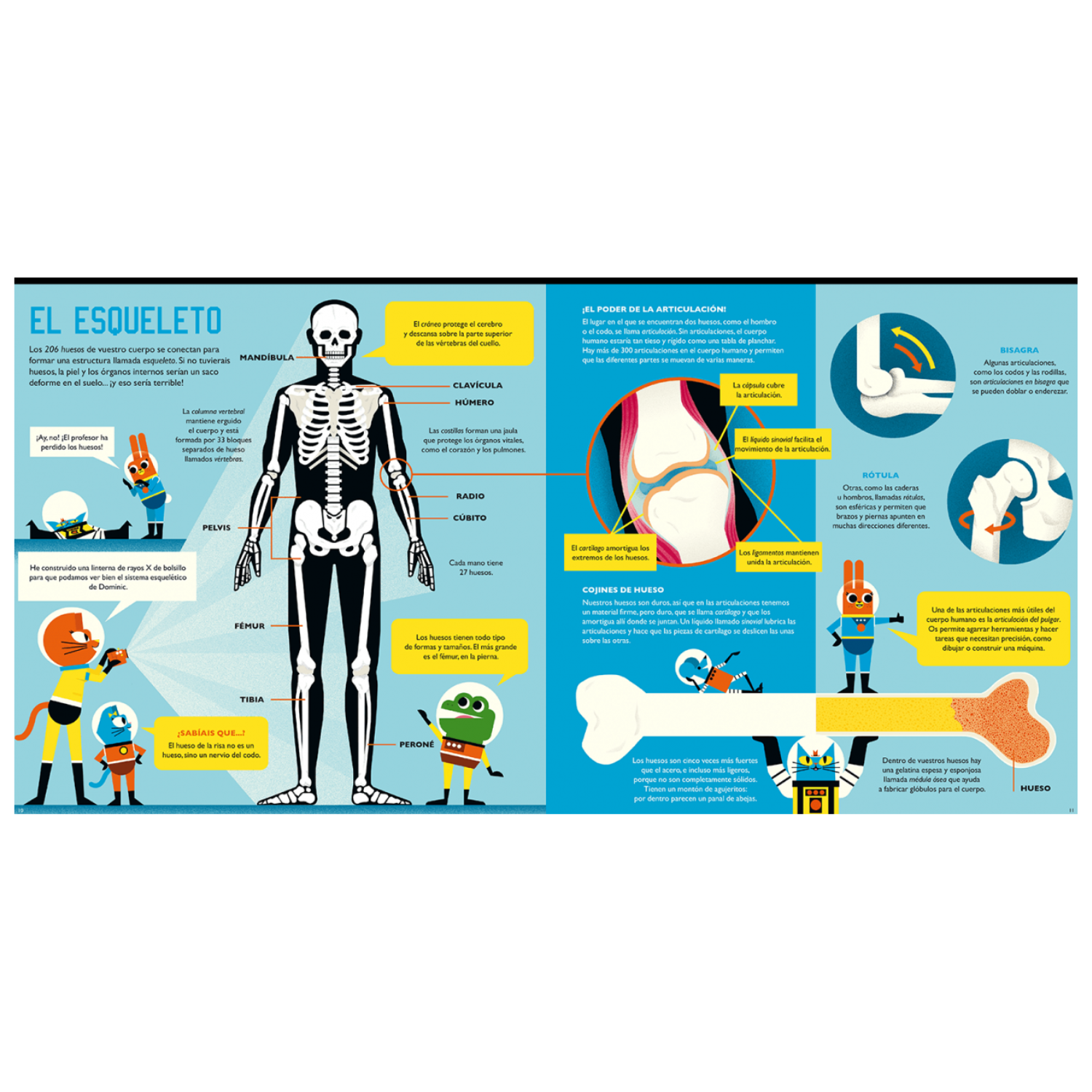 El profesor ASTRO CAT y la odisea del cuerpo humano-5