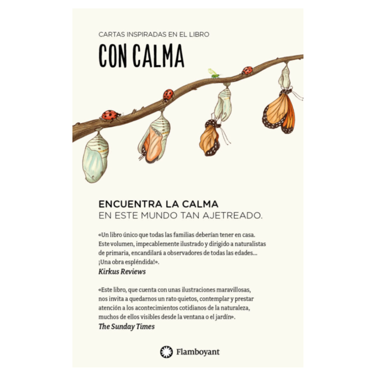 Con Calma (cartas): 30 actividades mindfulnes-3