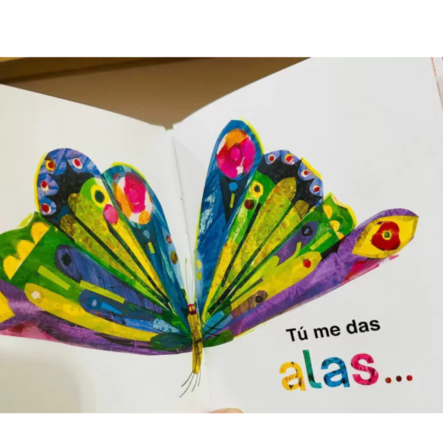 Amor: con la pequeña oruga glotona-2