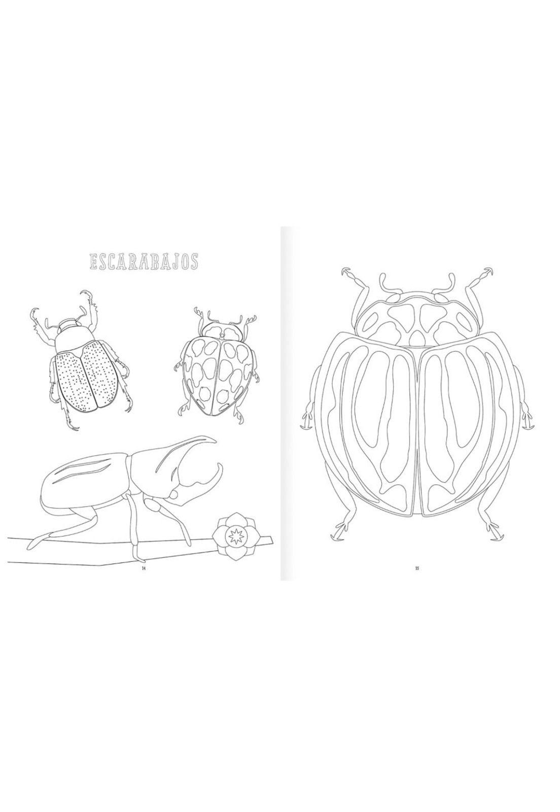 Insectopinta-2