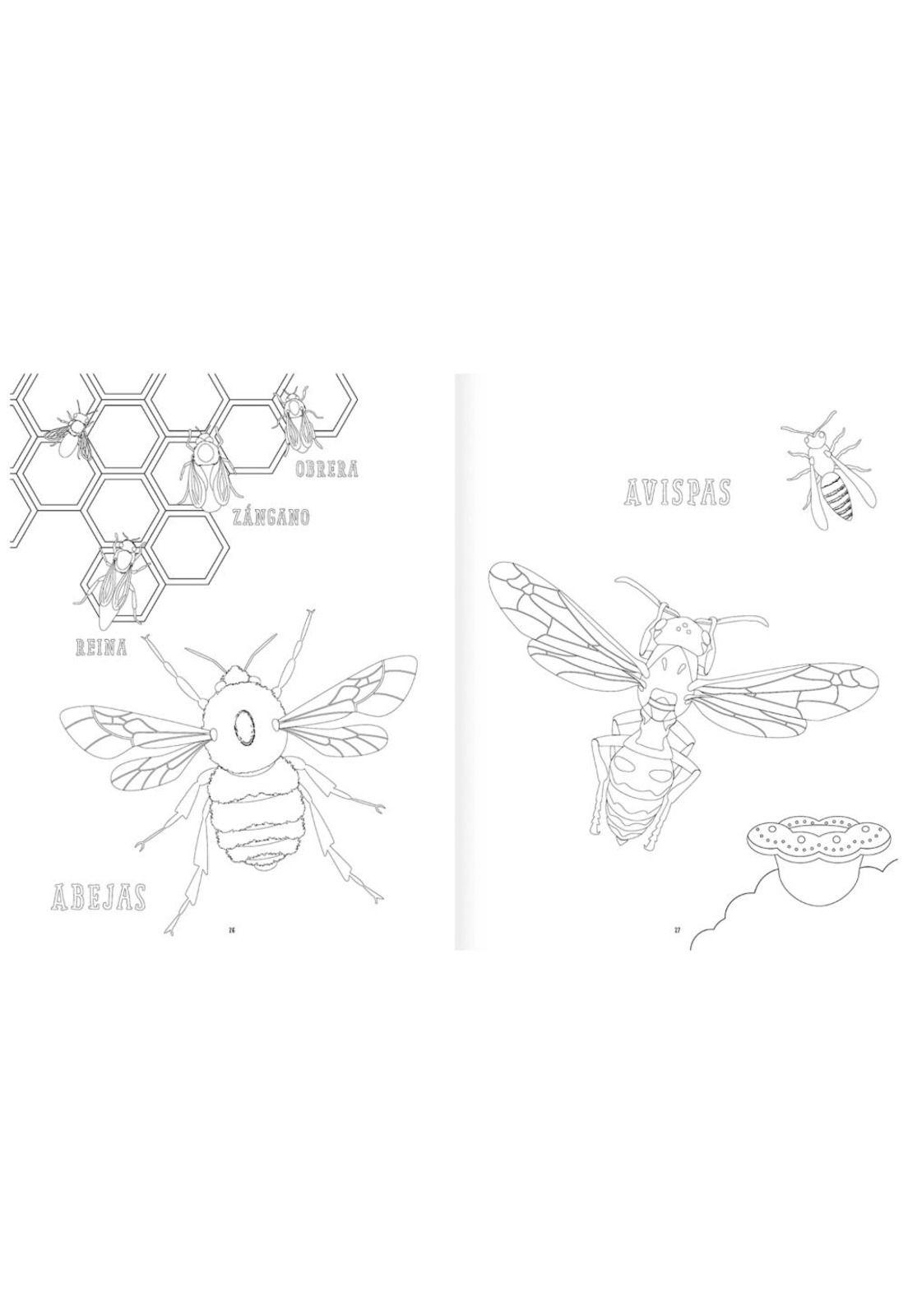 Insectopinta-3