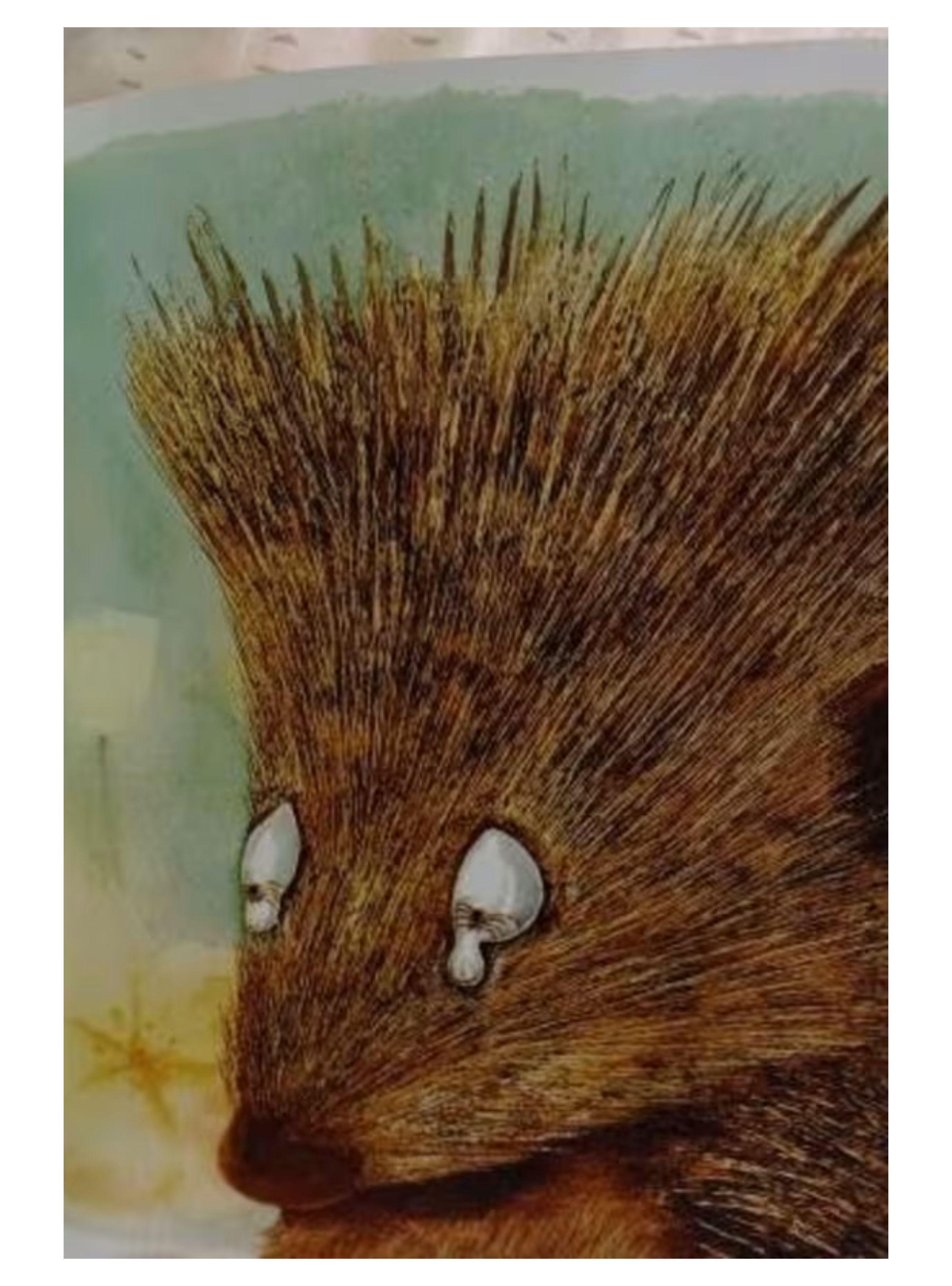 El problema de Martina-1