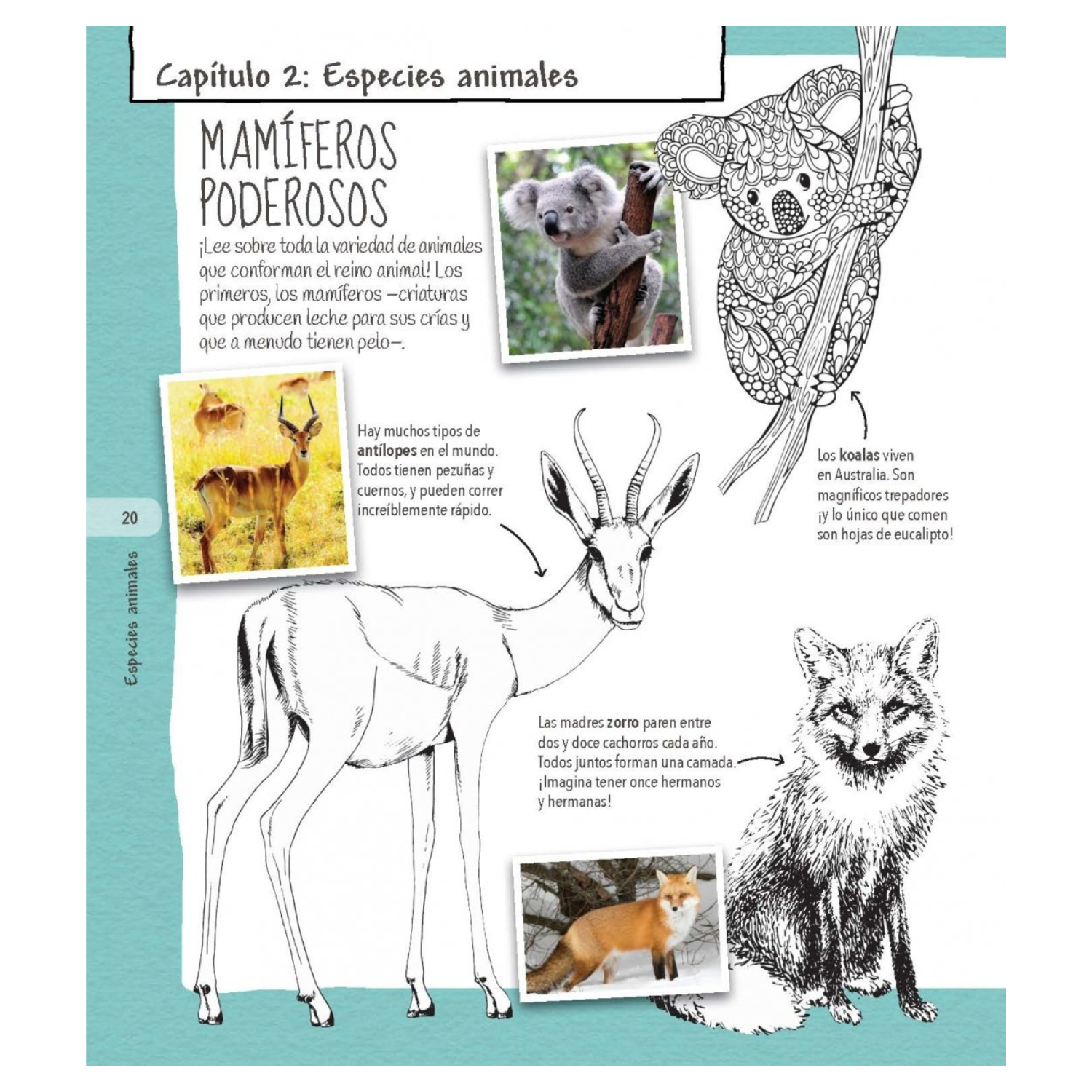 Colorpedia de los animales-3