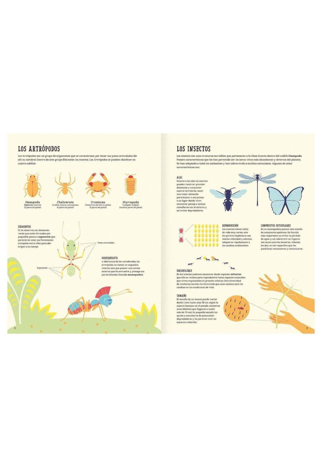 Insectopedia-2