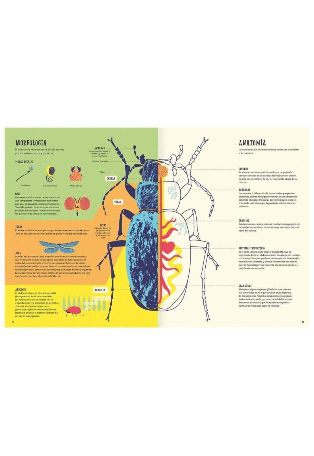 Insectopedia-3