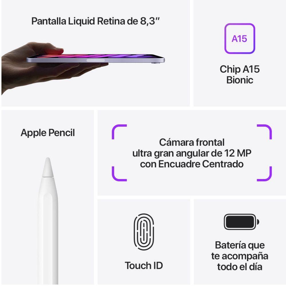 Apple iPad mini 8.3 WiFi 256 GB 6 Gen Rosada-4