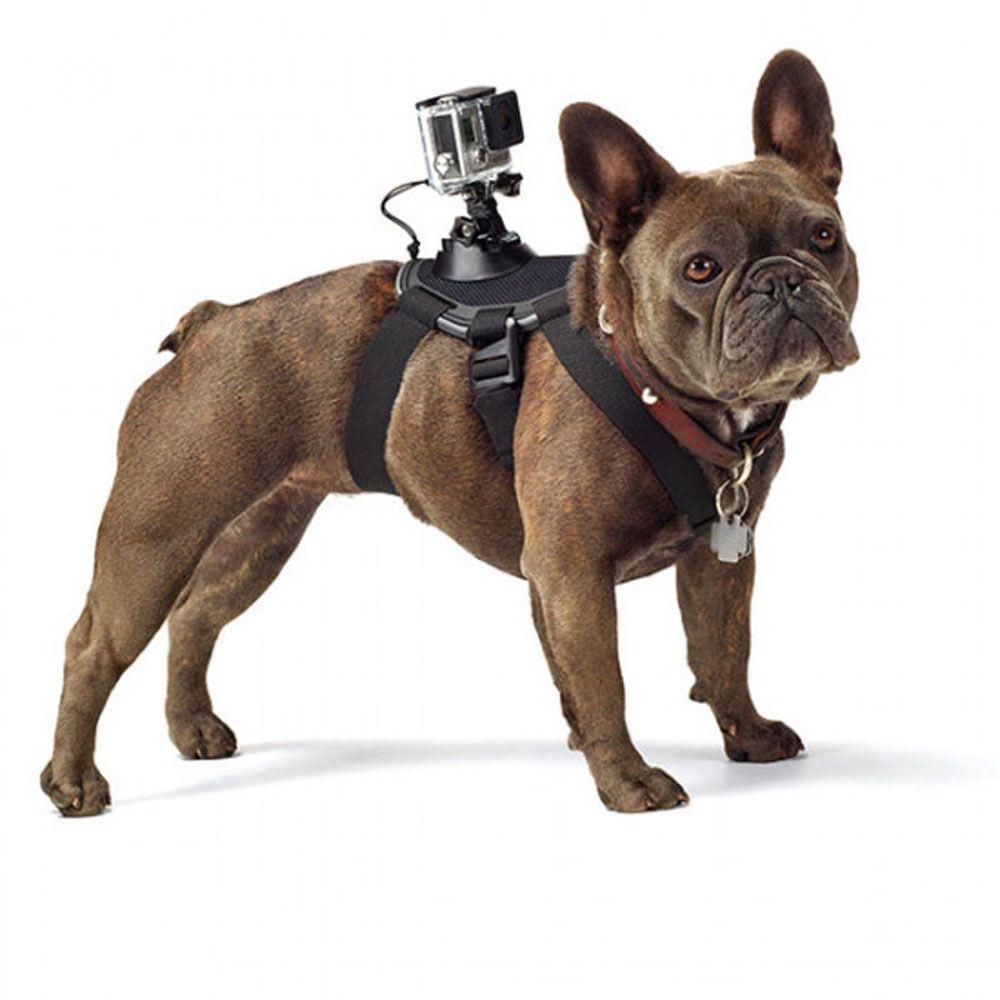 Arnes para perros GoPro ADOGM-001 Fetch dog-1